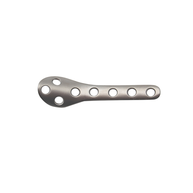 Distal fibula sahani-II