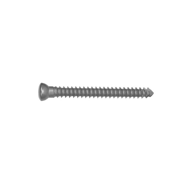 Cancellous Screw