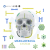 Maxillofacial Plate 1.5mm Skru Pengendalian Sendiri