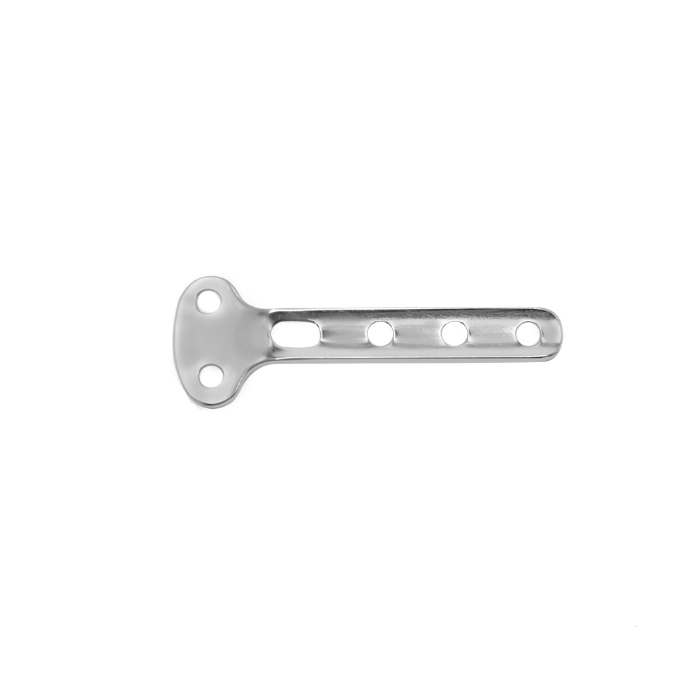 Metacarpus Medial Distal Radius Plate