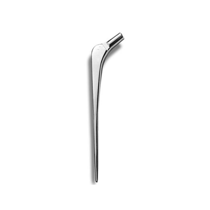 Cemented Revision Hip System