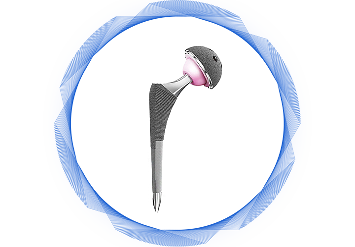 Hip-&-Knee-Prosthesis