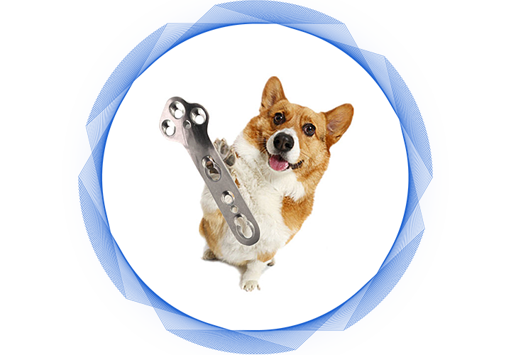 Veterinary Orthopedic