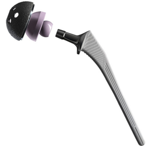 Cementless Primary Total Hip System