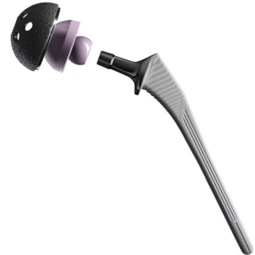 Cementless Primary Total Hip System
