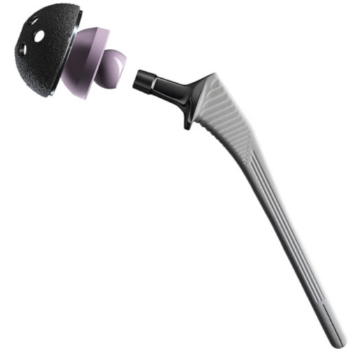 Cementless Primary Total Hip System
