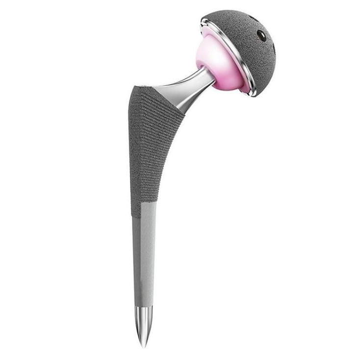 Cementless Semi-hip System