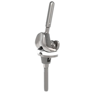 Revision Total Knee System