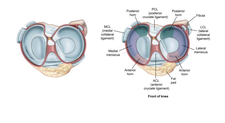 Meniscus repair