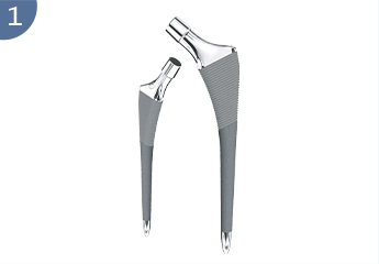 Hip prosthesis