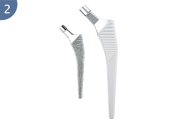 Hip prosthesis