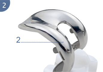knee prosthesis