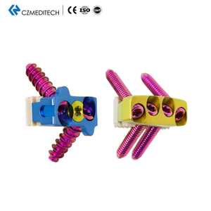 Cervical Peek Cage（2 or 4 Locking Screws）